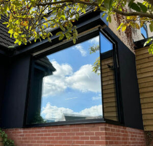 Tints Windows (Property)
